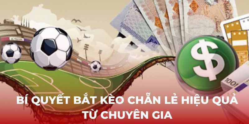 Bí quyết bắt kèo Chẵn Lẻ hiệu quả từ chuyên gia